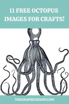 an octopus is shown with the words 11 free octopus images for crafts on top of it