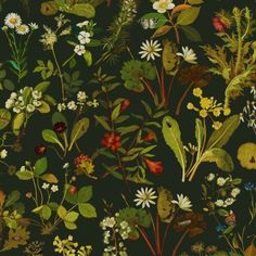 a painting of flowers and plants on a black background