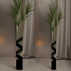 two tall black vases with green plants in them