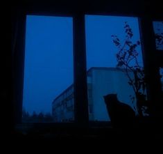 a cat sitting in the window sill looking out at an apartment building on a foggy night