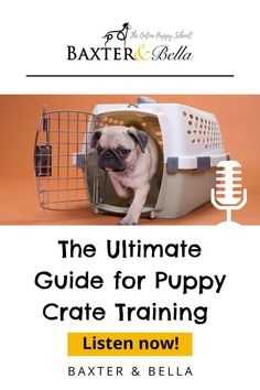 The ultimate guide for puppy crate training.  Listen here to the baxter and Bella puppy training podcast episode.  Image is of pug puppy in a crate. Dog Behavior Problems, Dog Camping