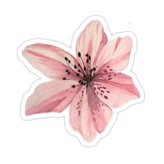 a pink flower with black stamens is shown on a white sticker sheet