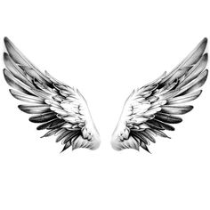 two black and white wings on a white background