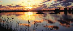 the sun is setting over a lake with clouds in the sky and grass on the shore