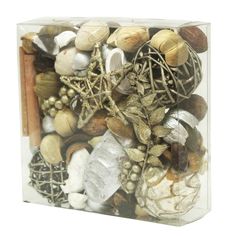 a clear box filled with different types of shells