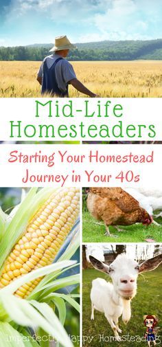 the cover of mid - life homesteads, featuring pictures of farm animals and corn