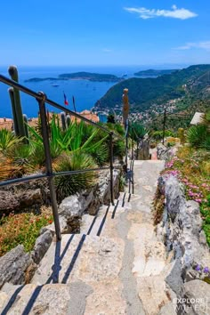 stairs leading up to the top of a hill with flowers and plants on each side