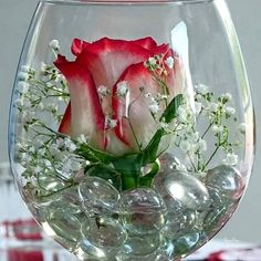 a red rose in a glass filled with water