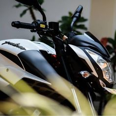 a close up of a motorcycle parked in front of a plant with flowers behind it