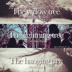 an iphone screen with the text'the twilight tree'and two images of people sitting in