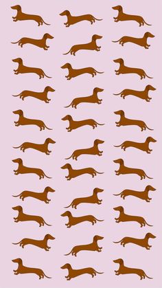 a brown dachshund pattern on a pink background