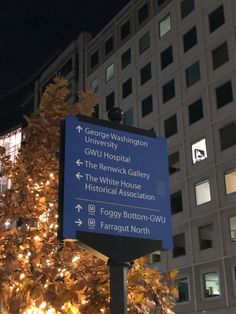 a large christmas tree is lit up in front of a building with lights on it