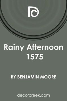 Rainy Afternoon 1575 Paint Color by Benjamin Moore Green Paint Colors Benjamin Moore, Unique Paint Colors, Colours That Go With Grey, Coordinating Paint Colors, Benjamin Moore Exterior, Green Grey Paint, Rainy Afternoon, Interior Finishes, Trim Colors