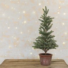 a small christmas tree sitting in a pot on top of a wooden table next to a wall