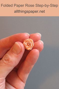 a person holding a tiny rose in their hand with the text perfect folded paper rose