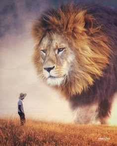 a man standing next to a lion on top of a grass covered field with the caption, ebenism