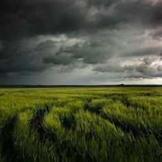 a large field with green grass under a cloudy sky