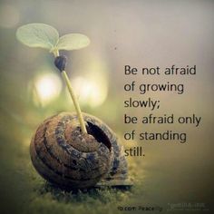 a snail with a sprout growing out of it's shell and the words be not afraid of growing slowly, be afraid only of standing still