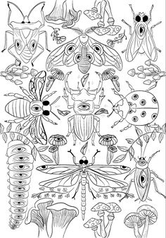 an insect coloring page with many different types of bugs and other insects in the background