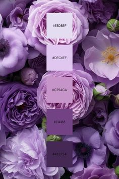 purple flowers are arranged in the center of this color scheme, with different shades to choose from