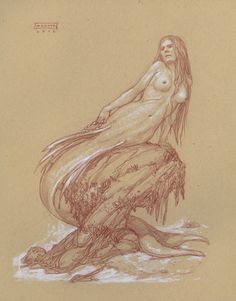 a drawing of a naked woman sitting on top of a tree stump in the water