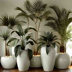 several white vases with plants in them on a wooden floor next to a wall