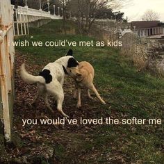 two dogs playing with each other in the grass next to a fence that says, i wish we could've met as kids you would love the soft me