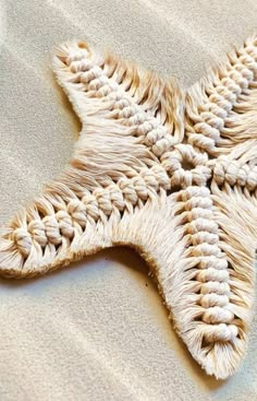 a white starfish laying on top of a sandy beach