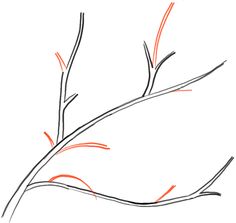 a drawing of a tree branch with orange and black lines on it's branches