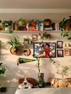 a living room with plants and pictures on the wall