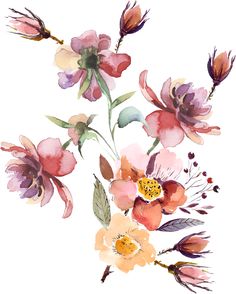 watercolor painting of pink and orange flowers