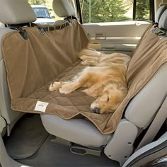 a dog laying in the back seat of a car with its head resting on a blanket