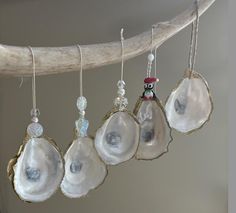 five seashells hanging from a branch with beaded charms attached to the beads