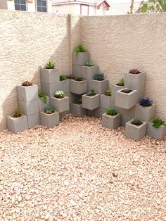 a bunch of cement blocks with plants in them