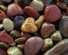 many different colored rocks together on the ground and one has a heart shaped rock in it's center