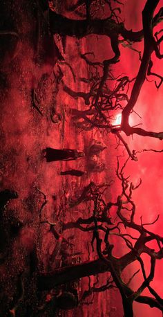 the sun shines brightly through branches in this eerie scene, with red light coming from behind them