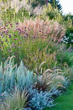 a garden filled with lots of different types of plants