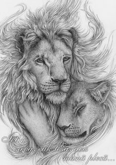 a drawing of two lions hugging each other