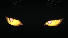 the eyes of a black cat glowing in the dark with bright yellow light shining on them