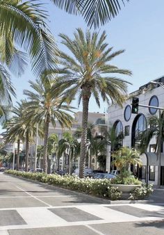 palm trees line the street in front of a white building