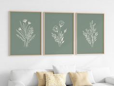 three framed floral prints on the wall above a couch