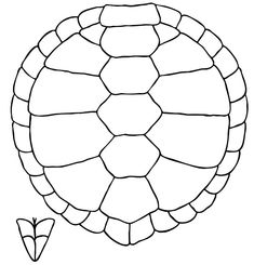 a drawing of a tortoise shell with a plant growing out of the top