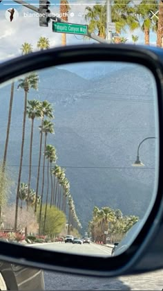 palm trees line the street in front of a car's rear view mirror as seen through a side view mirror