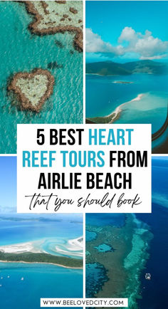 the top 5 best heart reef tours from arlie beach