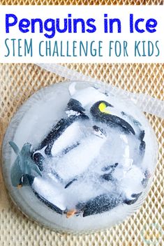 Animal Science Experiments, Antarctica Activities, Stem Activity For Kids, Winter Stem Activities, Space Activities For Kids, Penguin Activities, Winter Science, Experiment For Kids