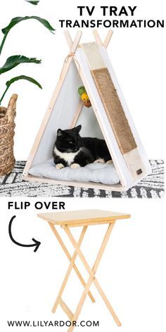 a black and white cat laying in a teepee tent next to a table with a plant