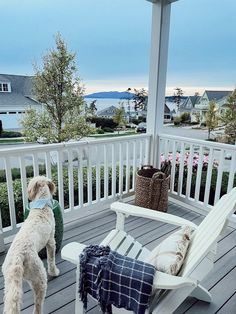 a dog standing on a porch next to a white rocking chair with two pillows and a blanket