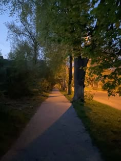 the sun is shining on trees along this path