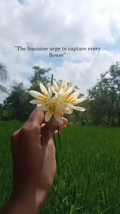 a person holding flowers in their hand with a quote on the grass behind them that reads, the feminine urge to capture every flower