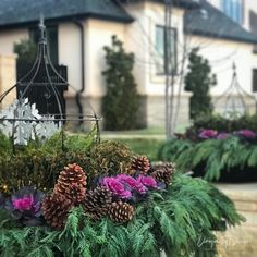 some pine cones and purple flowers in front of a house